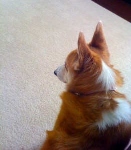 And death i think is no parenthesis