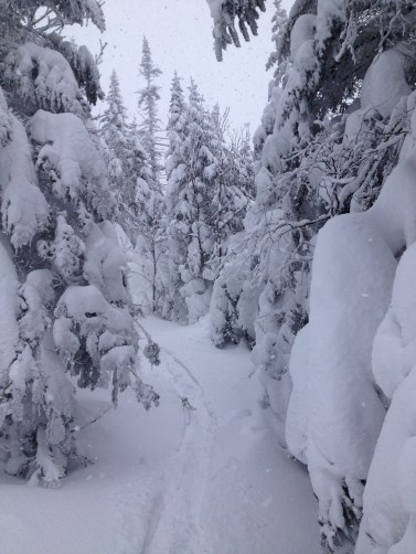 I'm not telling you, though.