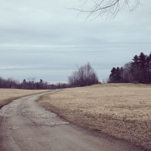 countour lines - country road