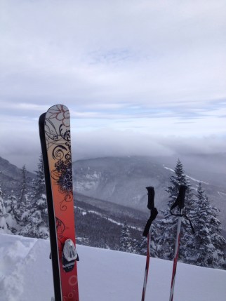 Head shot. ........ get it?