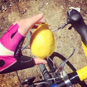 "Greetings, shopkeep. I would like a single lemon. The finest lemon you carry!"